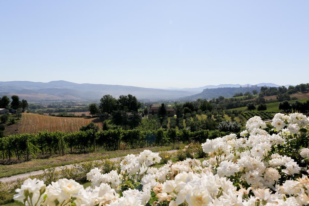 Locanda Palazzone Orvieto Eksteriør billede