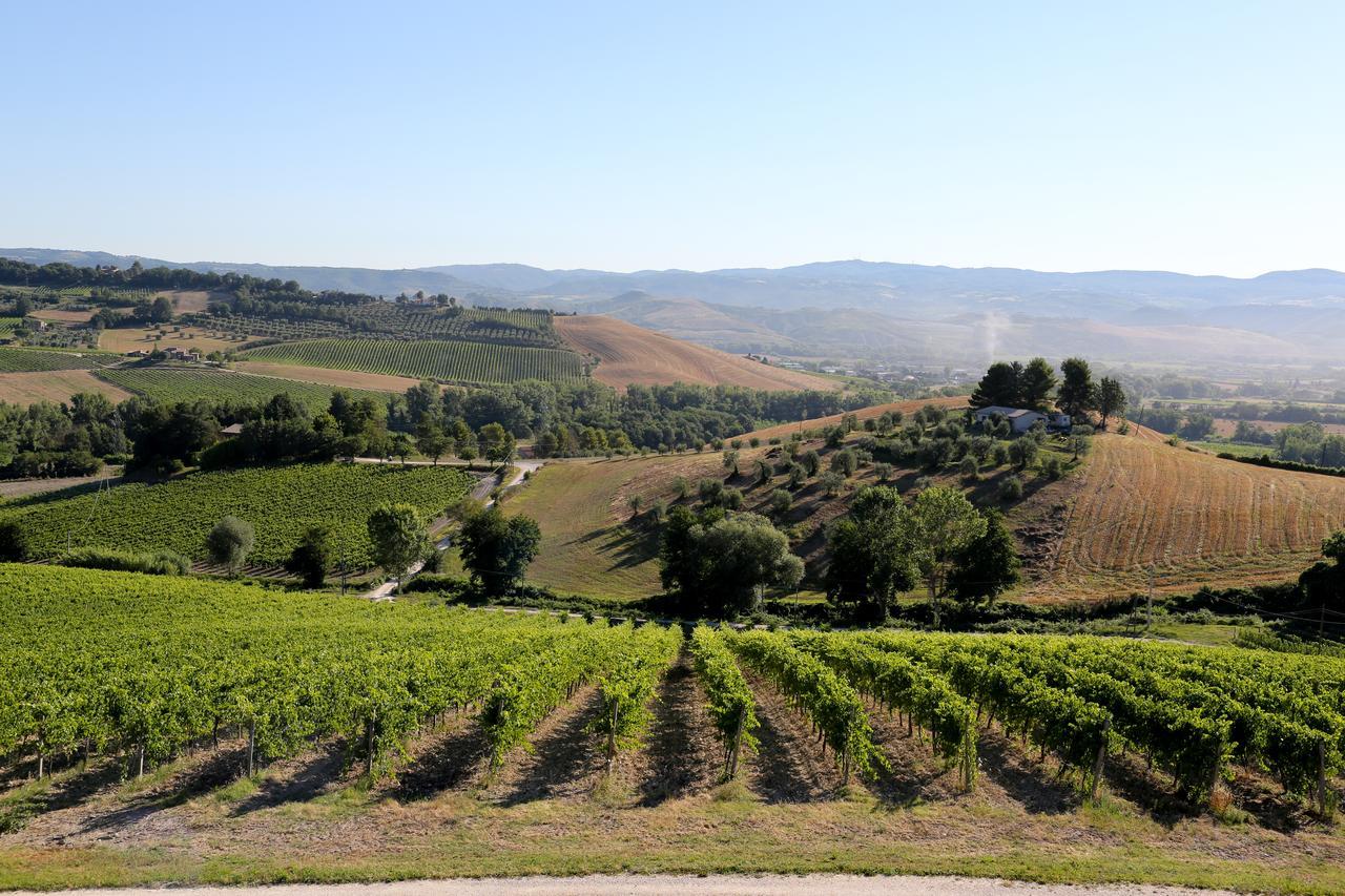 Locanda Palazzone Orvieto Eksteriør billede